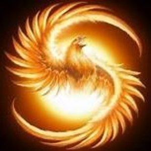 Meet your Posher, Jane